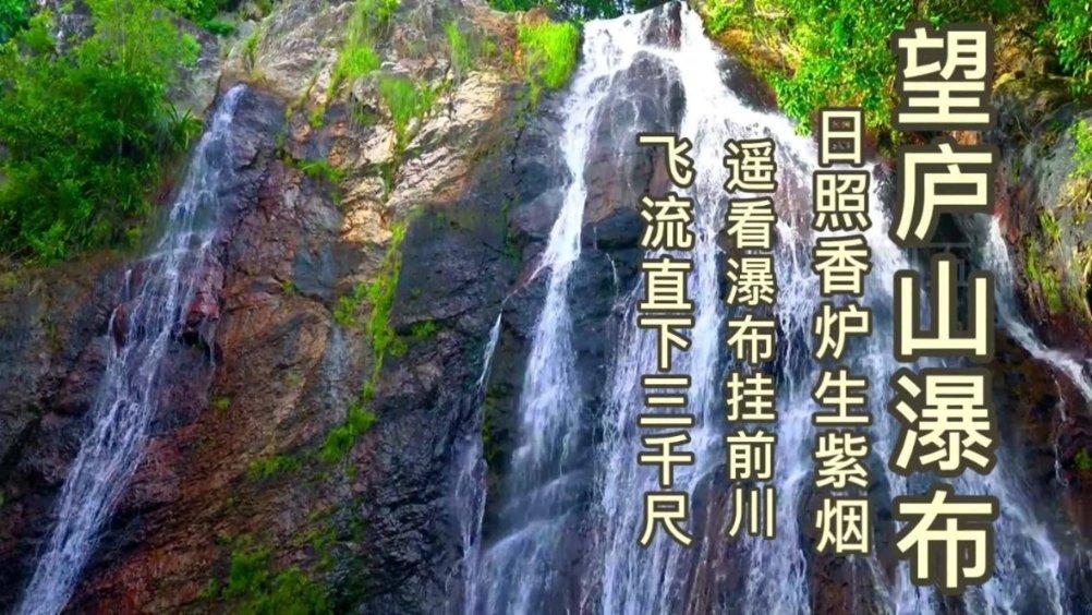 动物帮帮忙保卫家园